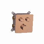 Blue Silkeborg inbouw douchethermostaat met 2-weg omstelling, push control, geborsteld brons FK-ANN-004-BR