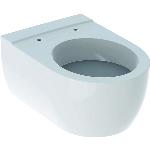 Geberit iCon wandcloset diepspoel 53cm 3-6L wit 204000000