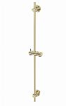 Blue Label glijstang 90 cm met wateraansluiting, messing muurbevestiging, ABS/messing glijstuk 19mm geborsteld goud FK-T0901-BB