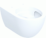 Geberit Acanto wandcloset 53cm TurboFlush wit 502717001