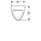 Geberit 300 Urinoirs, Urinoir, mikpunt, achterinlaat, afvoer achter/onder, vuilafstotend, 570 x 340 x 340mm (HxBxD), wit