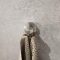 Geesa Nemox Stainless Steel handdoekhaak, met 1 haak, zamak, hxdxl 48x42x48mm, kleur rvs