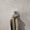 Geesa Nemox Stainless Steel handdoekhaak, met 1 haak, zamak, hxdxl 48x42x48mm, kleur rvs