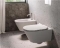 Catalano Zero wandhangend toilet 55x35cm wit mat + Newflush met gratis toiletblokhouder en 8 Duofresh sticks