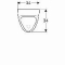 Geberit 300 Urinoirs, Urinoir, rooster, achterinlaat, afvoer achter/onder, 570 x 340 x 340mm (HxBxD), wit