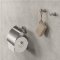 Geesa Nemox accessoire set, toiletrolhouder met klep, toiletborstelhouder wand, closetborstel + extra borstel, haak, RVS