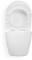 Blue Label Balder rimfree wandcloset 49cm met closetzitting softclose/quick release wit FK038WG