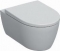 Geberit iCon combipack diepspoel Rimfree 53cm met closetzitting softclose wit 501664001
