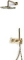 Blue Label Brondby facet douchesysteem horizontaal met houder incl. inbouwdeel, omstel, hoofddouche 250mm, geborsteld goud FK-003K-H-BB